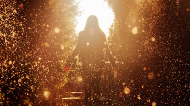 dreams, hope and emotion
