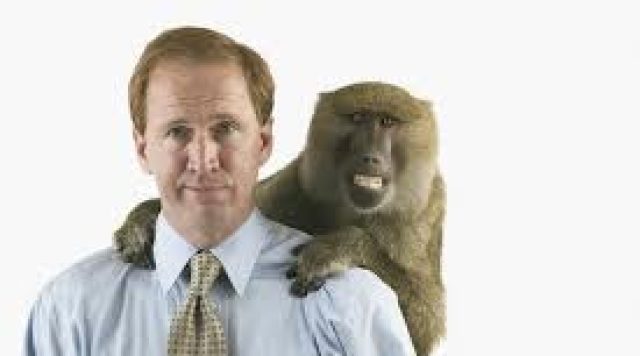 Monkey on your shoulder