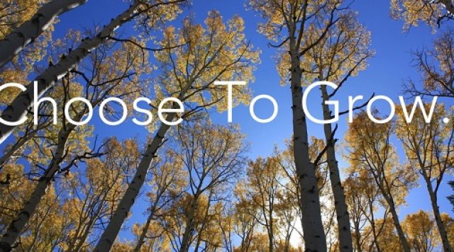 choose-to-grow