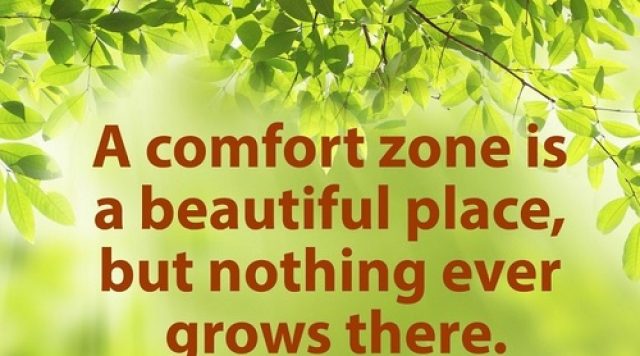 comfort zone nothing grows