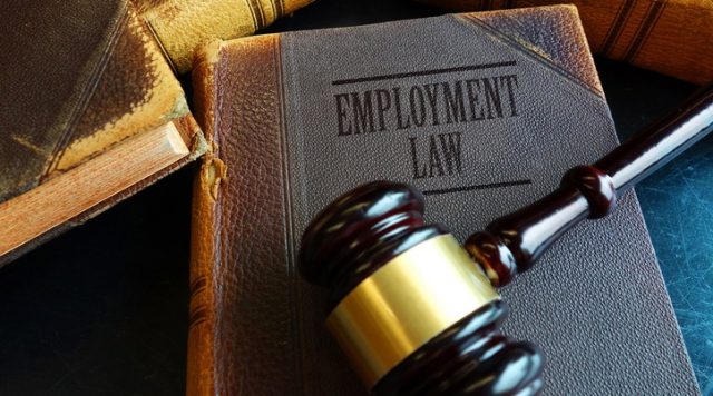 Employment Law book