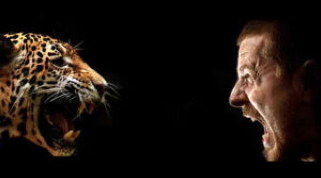 fear4-300x183-1