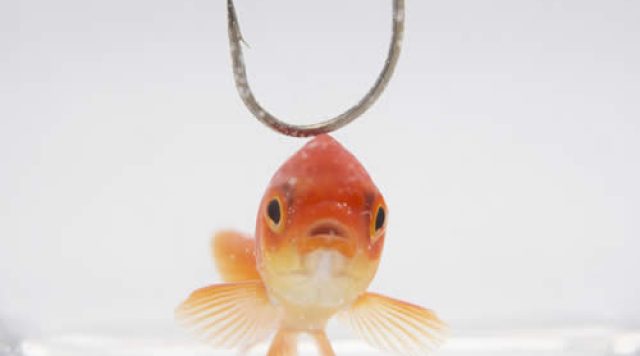 fish-hook