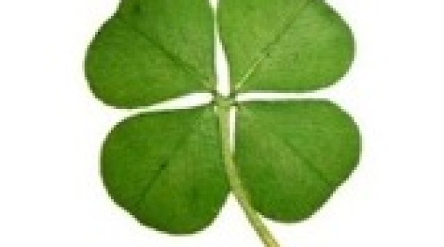 four_leave_clover_lucky
