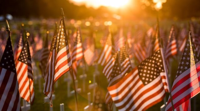 freedom isn't free