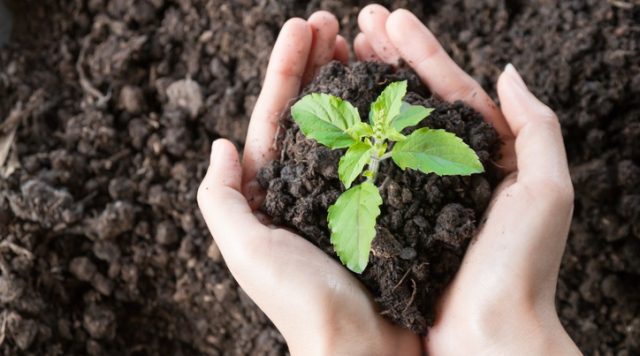 hands in dirt