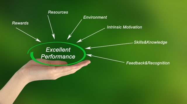 Excellent Performance