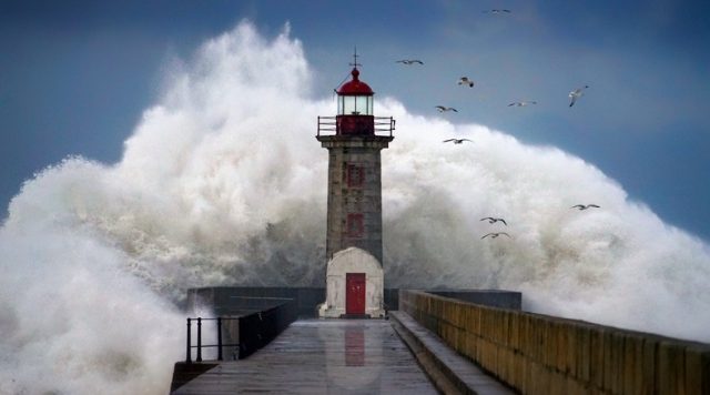 kissing the wave resilience