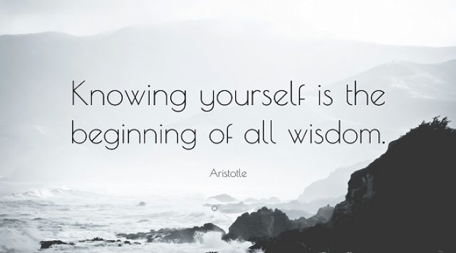 knowing yourself is the beginning of all wisdom