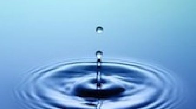 Water drops into a pond creating a ripple effect