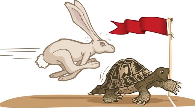 Tortoise and Hare Race