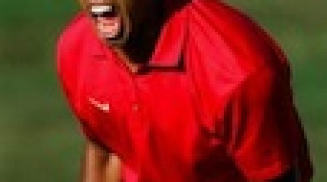 using tiger woods clubs